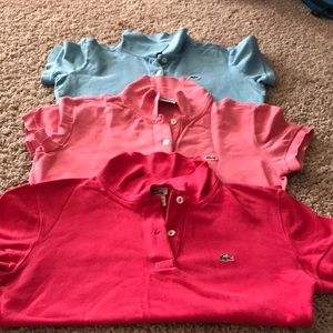 Lacost polo shirts